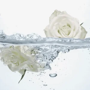 47099 Oriflame – Dung dịch vệ sinh Feminelle Refreshing Intimate Wash with Rose Water