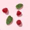 43954 Oriflame – Xịt thơm toàn thân Oriflame Love Nature Energising Fragrance Mist with Organic Mint and Raspberry hương mâm xôi và bạc hà