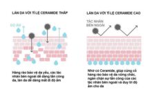 Aqua Glow Với Công Nghệ Ceramosides Tân Tiến: Khóa Ẩm Và Duy Trì Collagen