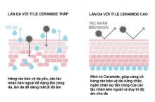 Aqua Glow Với Công Nghệ Ceramosides Tân Tiến: Khóa Ẩm Và Duy Trì Collagen